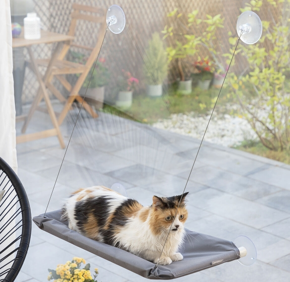 Hanging cat hammock with suction cup