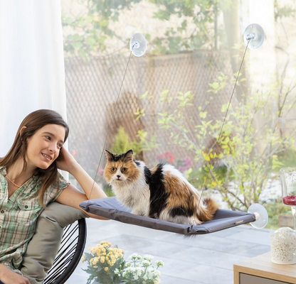 Hanging cat hammock with suction cup