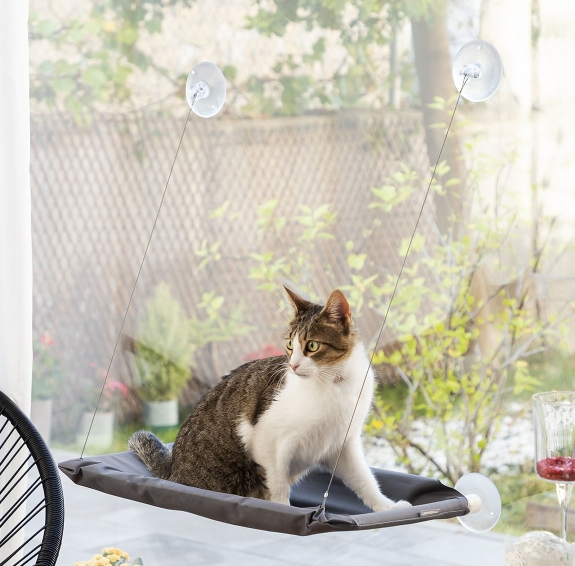 Hanging cat hammock with suction cup