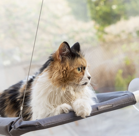 Hanging cat hammock with suction cup