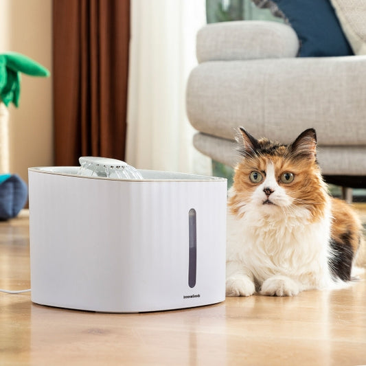 Automatic fountain for cats