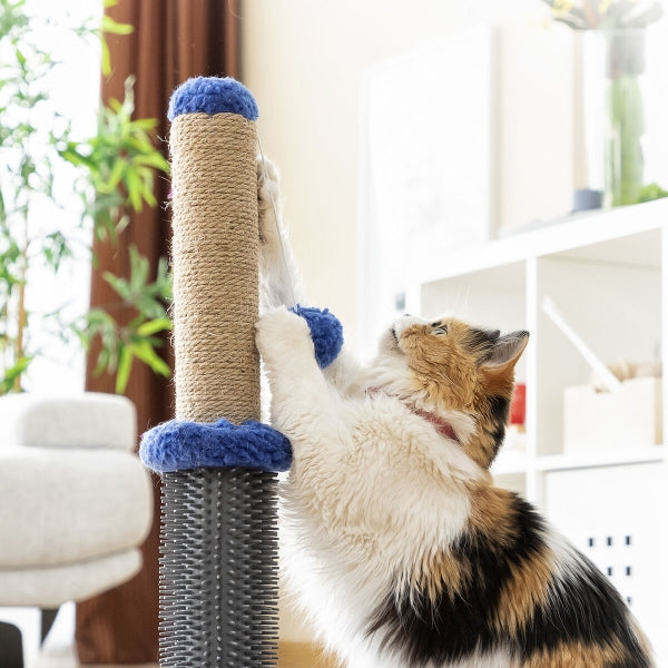 SCRATCHING POST-MASSAGER WITH BALL FOR CATS